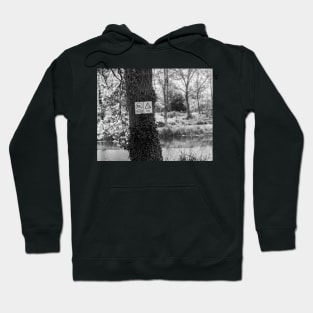 You can't swim here Hoodie